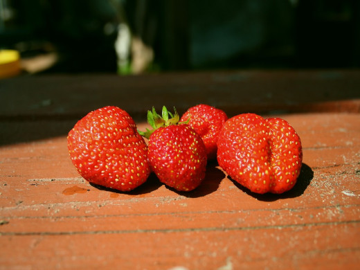 339102 (a): :1024x768